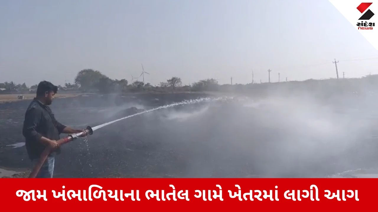 Dwarka News: જામ ખંભાળિયાના ભાતેલ ગામે ખેતરમાં લાગી આગ, ઘાસચારો અને ટ્રેક્ટરને નુકસાન 