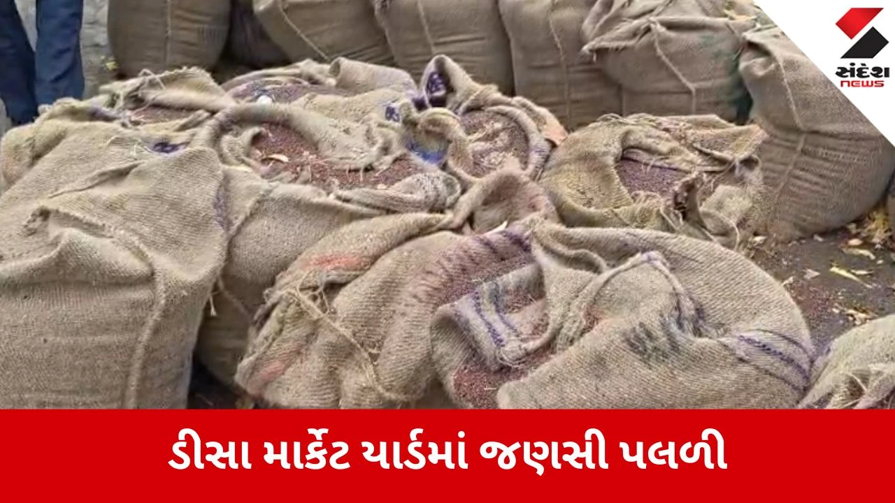 ડીસા માર્કેટ યાર્ડમાં કમોસમી વરસાદ: રાયડા અને બાજરીની બોરીઓ વેપારીઓની બેદરકારીથી પલળી ગઈ, ખેડૂતોમાં રોષ.