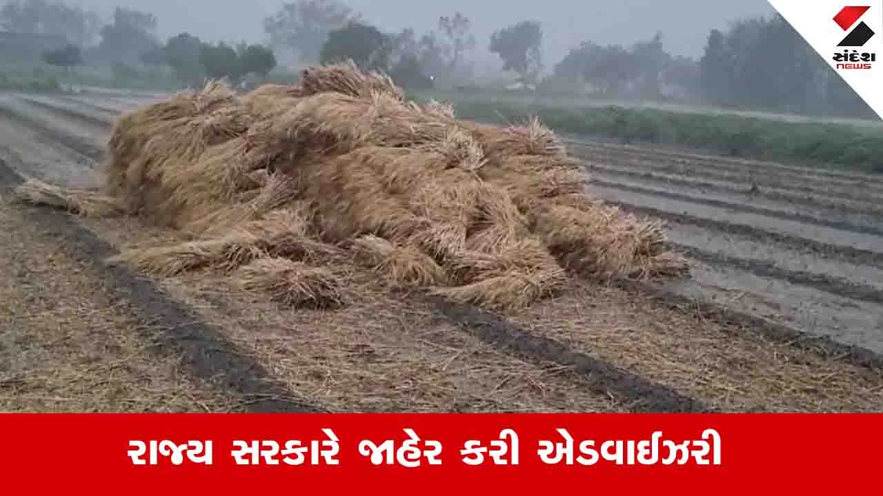 Agriculture News: માવઠાની આગાહી વચ્ચે પાકને સુરક્ષિત રાખવા રાજ્ય સરકારે એડવાઈઝરી જાહેર કરી