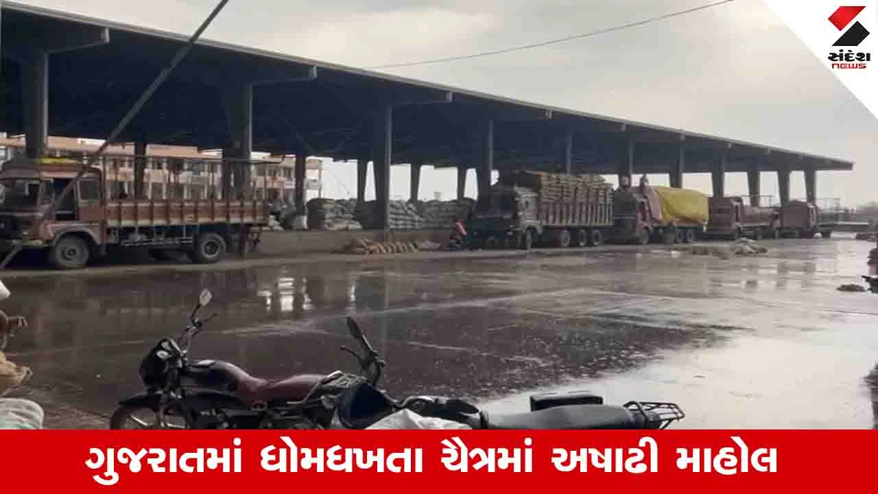 Gujarat News : ભારે પવન અને વરસાદને કારણે કેરી સહિત ઉનાળુ પાકને નુકસાનની ભીતિ 