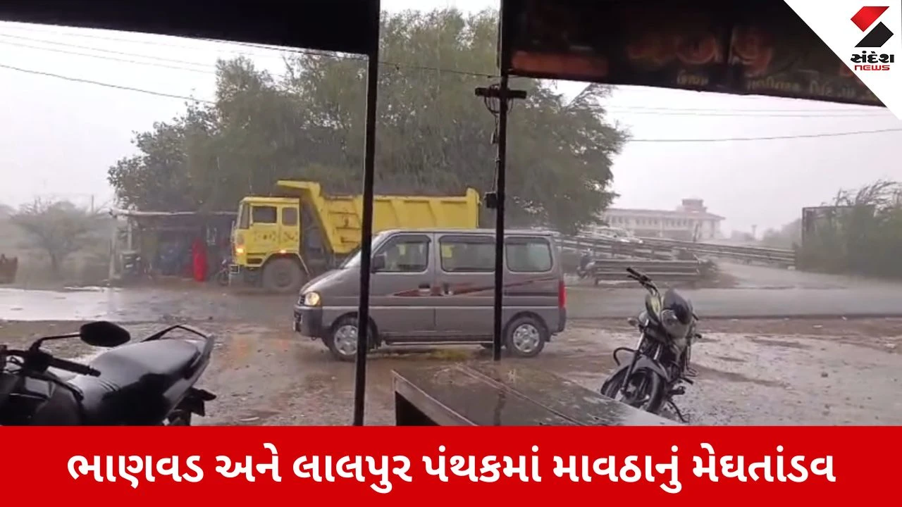 Porbandar News: ભાણવડ અને લાલપુર પંથકમાં કમોસમી વરસાદ, ખેડૂતોના તૈયાર પાકને નુકસાન 