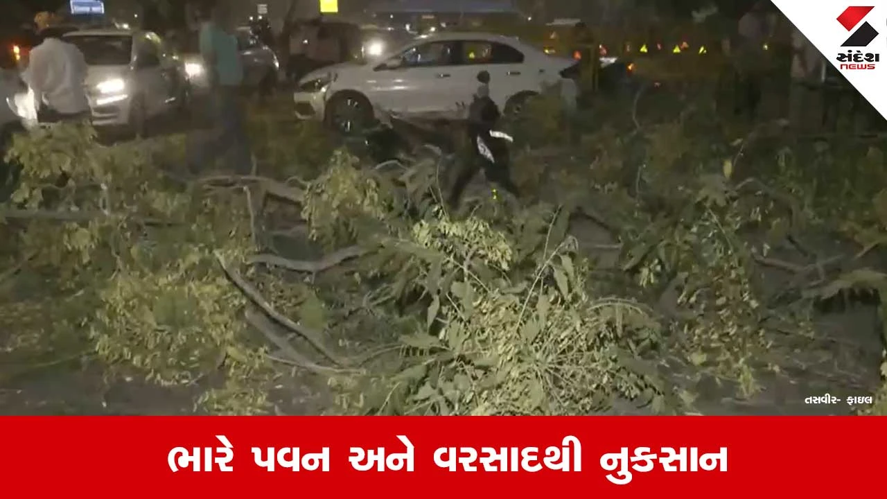 Delhi NCR Rain: 150 થાંભલા તૂટ્યા, 25 ટ્રાન્સફોર્મર ઠપ્પ, 16 ગામોમાં અંધારપટ છવાયો.