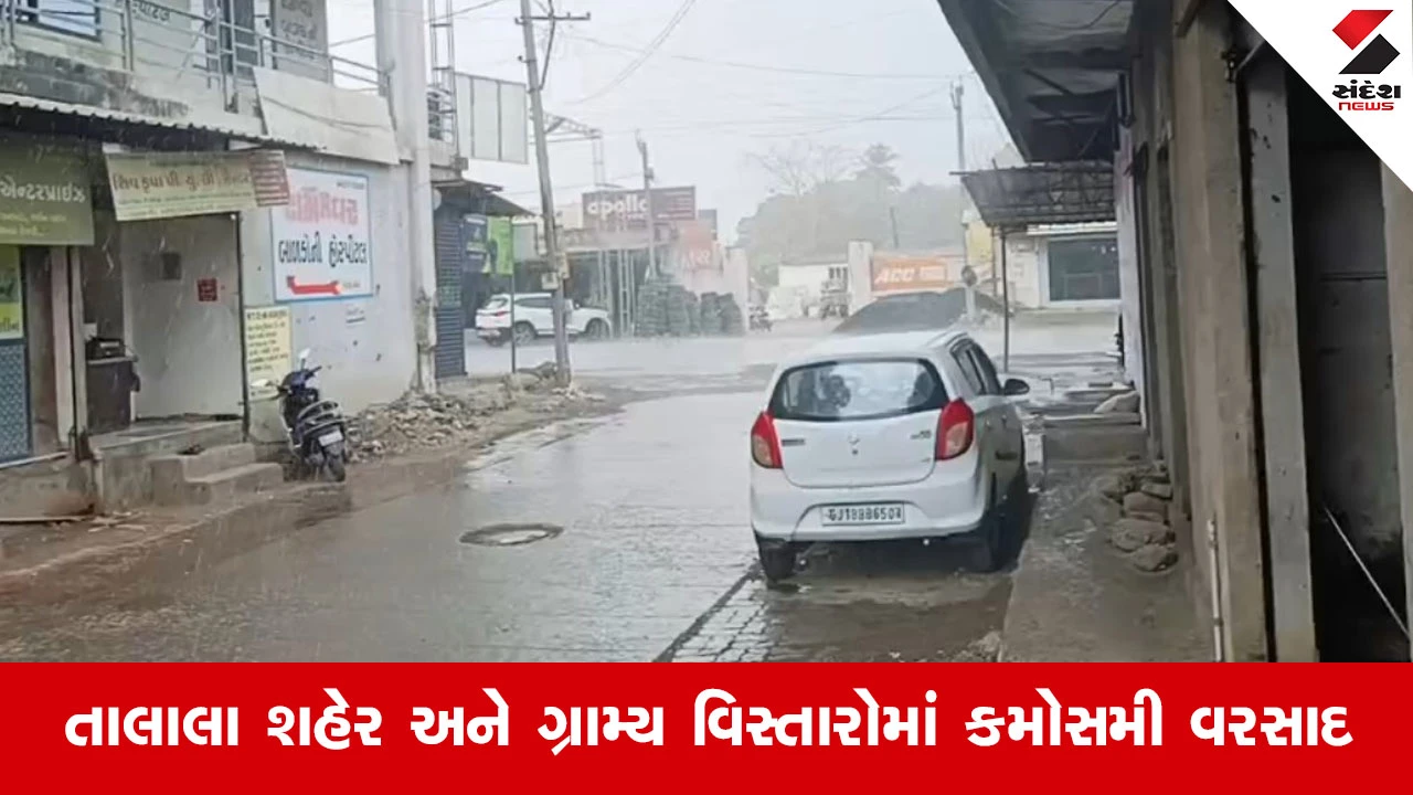 Gir Somnathના તાલાલા પંથકમાં કમોસમી વરસાદનું માવઠું: વિશ્વપ્રસિદ્ધ કેસર કેરીના પાક પર જોખમ 