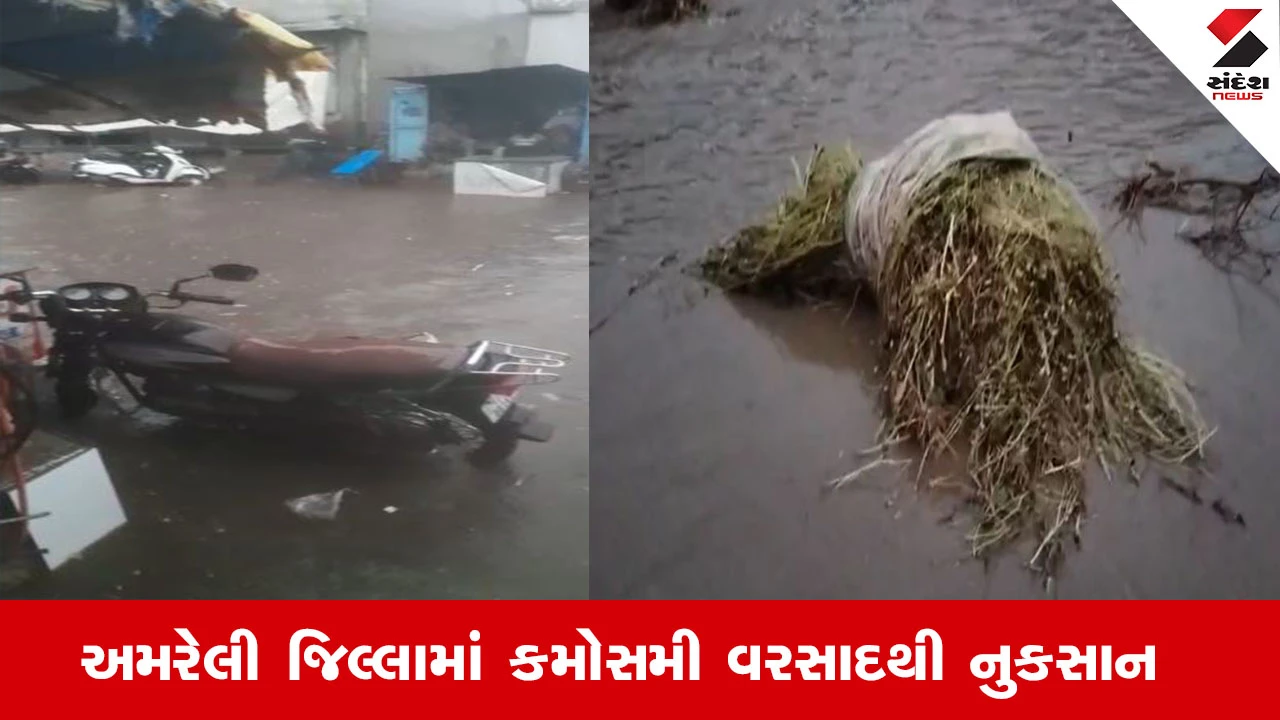 અમરેલીના લુધીયામાં 4 ઇંચ વરસાદથી ખેતીને નુકસાન, સુડાવડમાં નદી જેમ પાણી; સહાયની ખેડૂતોની માંગ.