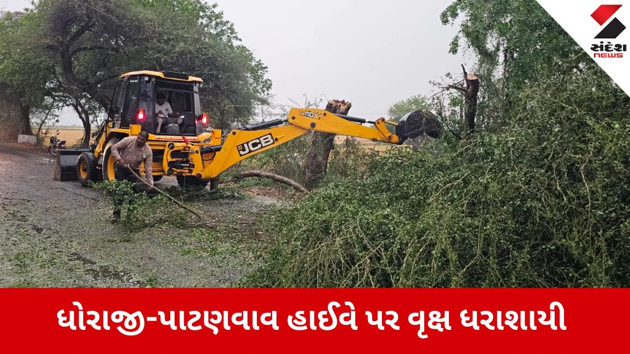 ધોરાજીમાં કમોસમી વરસાદથી પાટણવાવ માર્ગ પર વૃક્ષો ધરાશાયી, સેવાભાવીઓએ ટ્રાફિક હળવો કરાવ્યો.