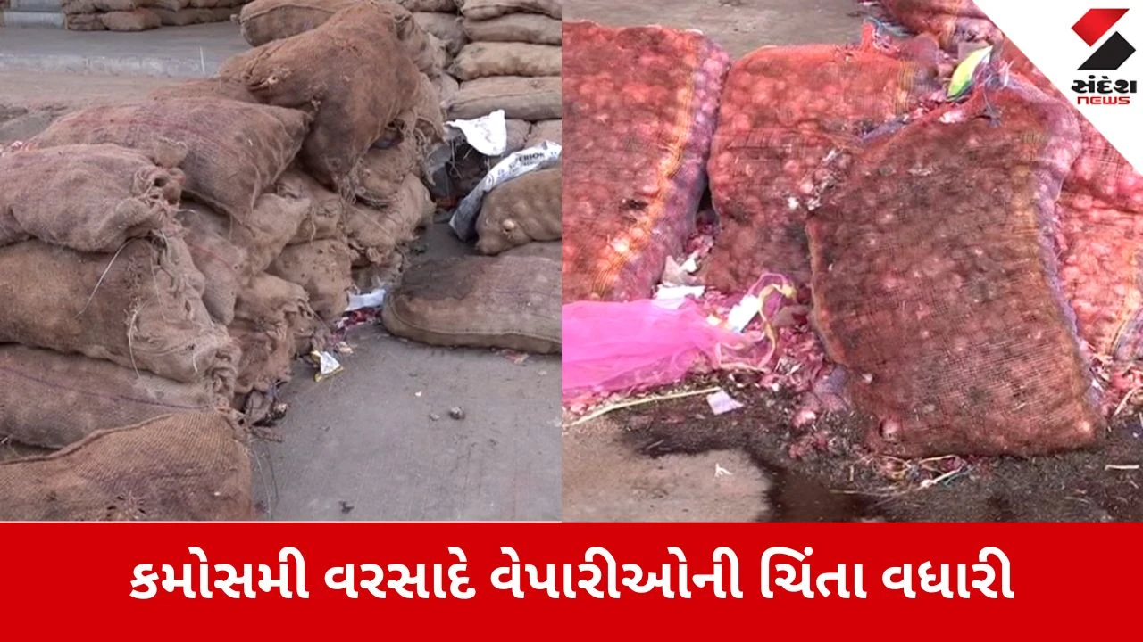 અમદાવાદમાં કમોસમી વરસાદથી વેપારીઓની ચિંતા, વેજલપુર APMCમાં ડુંગળી-બટેટાને નુકસાન.
