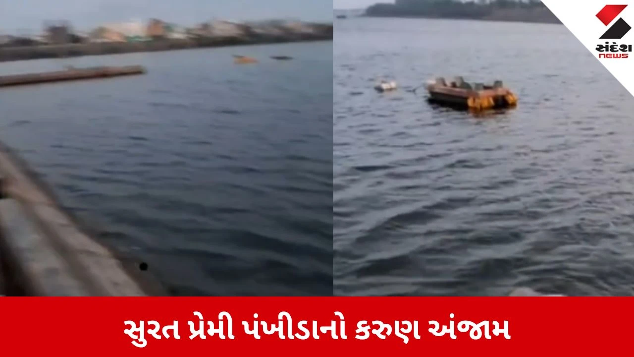 સુરતમાં ઝઘડા બાદ પ્રેમિકાનો આપઘાત, દીકરીના મોતના આઘાતમાં માતાને Brain Hemorrhage.