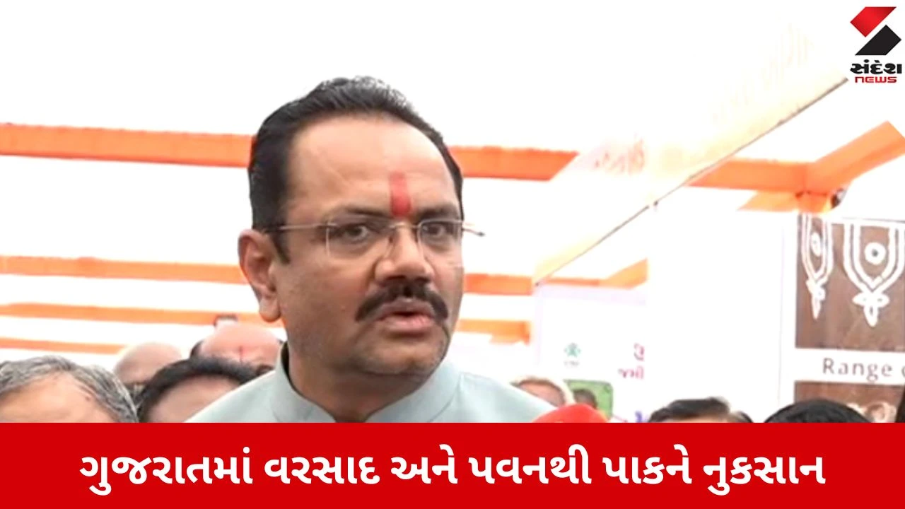 Ahmedabad: વરસાદથી થયેલા નુકસાનનો સર્વે કરવા કૃષિમંત્રી જીતુ વાઘાણીના આદેશ 