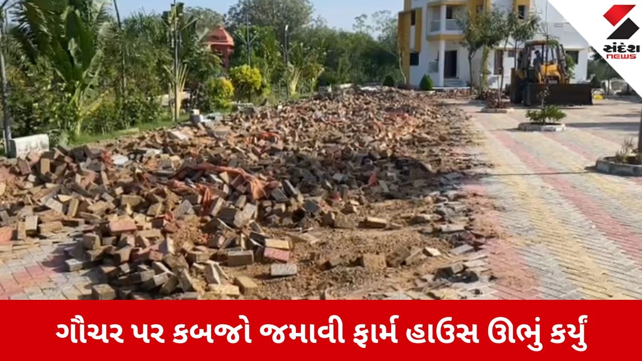 પાટણમાં ભાવેશ જીલીયાએ 7010 ચો.મી. પશુ ચરિયાણ જમીન પચાવી ફાર્મ હાઉસ બનાવ્યું.