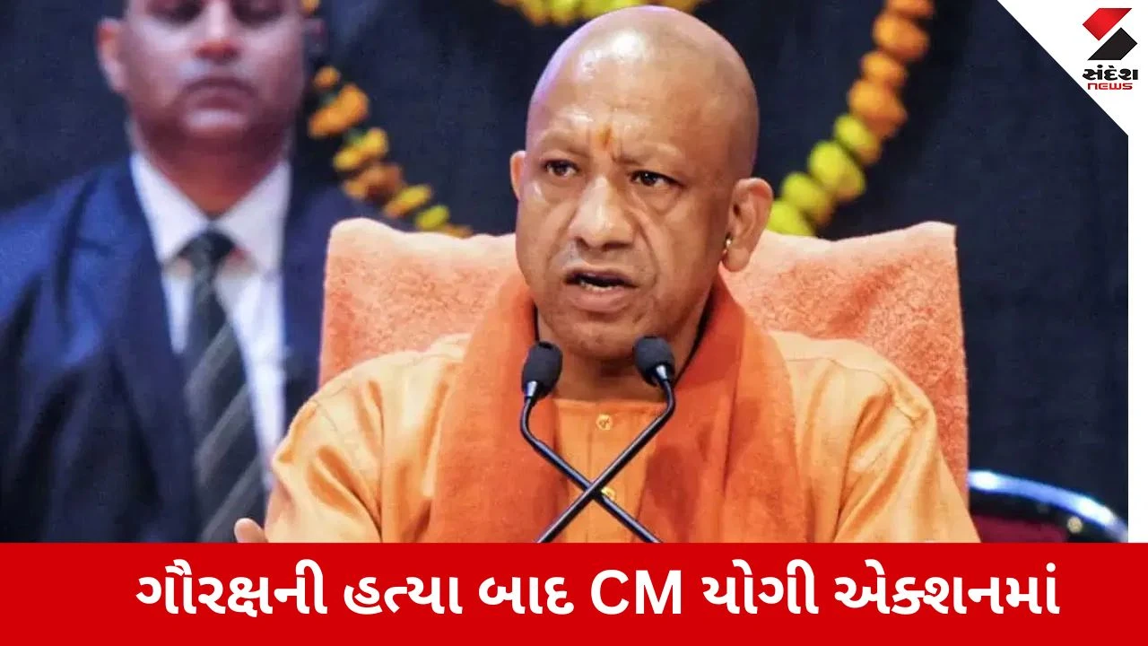 Mathura Gau Rakshakની હત્યા બાદ CM યોગીનું મોટું નિવેદન 