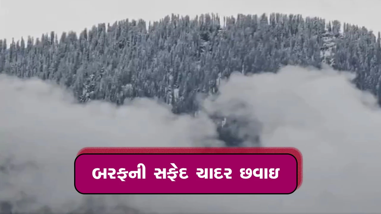જમ્મુ અને કાશ્મીરમાં હિમવર્ષા: જાણે પૃથ્વી પર સ્વર્ગ જેવો નજારો!