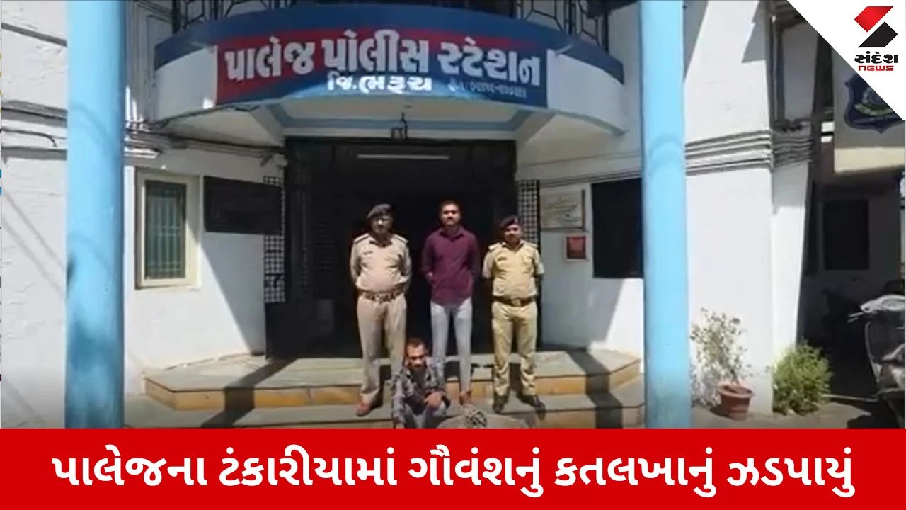 Bharuch news: પાલેજના ટંકારીયામાં ગૌવંશનું કતલખાનું ઝડપાયું, 150 કિલો ગૌમાંસ સાથે એકની ધરપકડ 