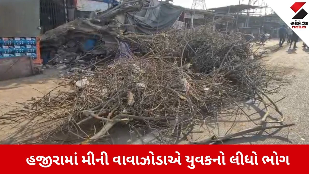 સુરતના હઝીરાના મોરા ગામમાં મીની વાવાઝોડાથી ઝાડ નીચે દબાઈ યુવકનું કરુણ મોત.