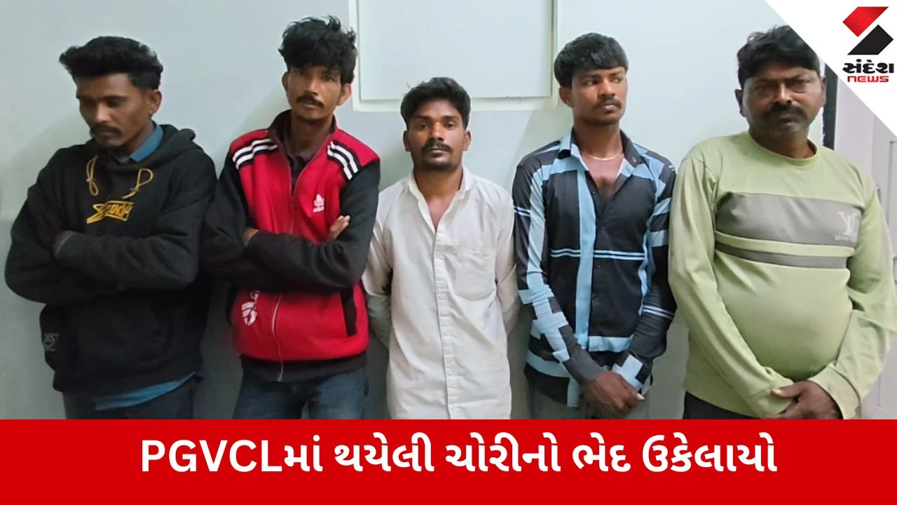 Dwarka: PGVCL ના સ્ટોરમાંથી 3700 કિલો વાયરની ચોરી કરનાર ગેંગ ઝડપાઈ, 11.88 લાખનો મુદ્દામાલ જપ્ત 