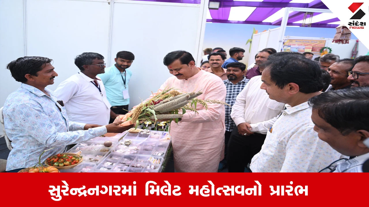 મિલેટ મહોત્સવમાં ગાય આધારિત ખેતીના શાકભાજી, ફળોનું વેચાણ વચેટિયાઓ વગર.