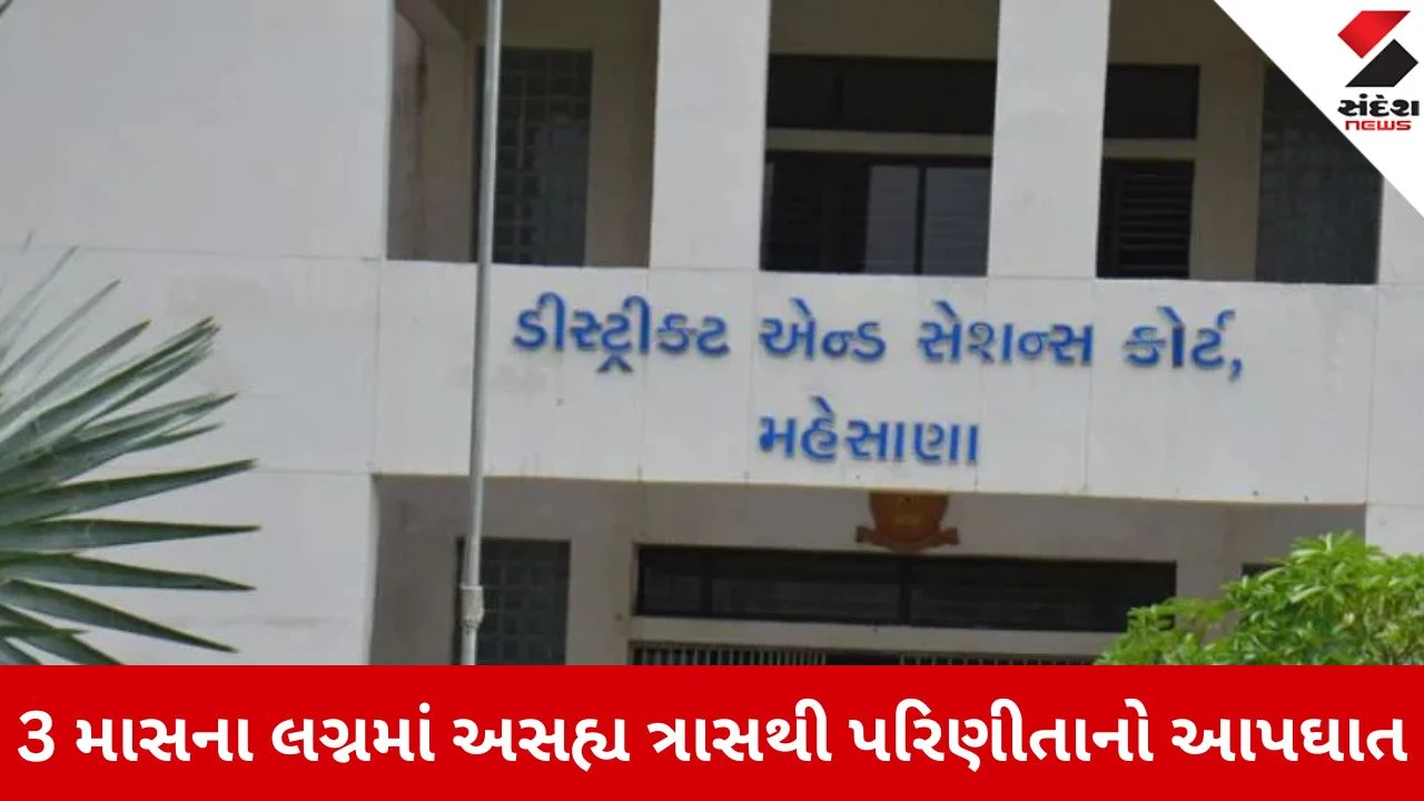 Mehsana News : વડું ગામમાં પરિણીતાનો આપઘાત કેસ, બે આરોપીના જામીન રદ 