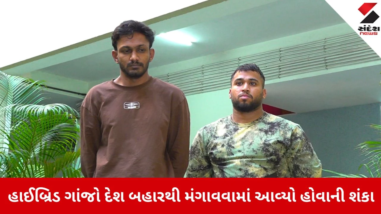 Ahmedabadમાં હાઈબ્રિડ ગાંજાનું નેટવર્ક ઝડપાયું, સગીર સહિત ત્રણ સામે કાર્યવાહી, 9 લાખનો મુદ્દામાલ જપ્ત