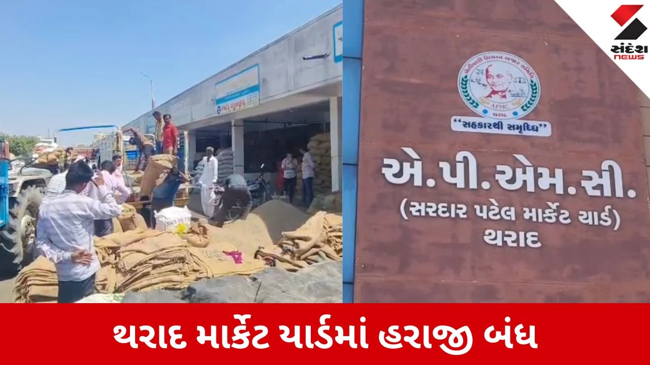 માર્ચ એન્ડિંગથી માર્કેટયાર્ડમાં 26 માર્ચથી હરાજી બંધ, ખેડૂતોને માલ ન લાવવા અપીલ.