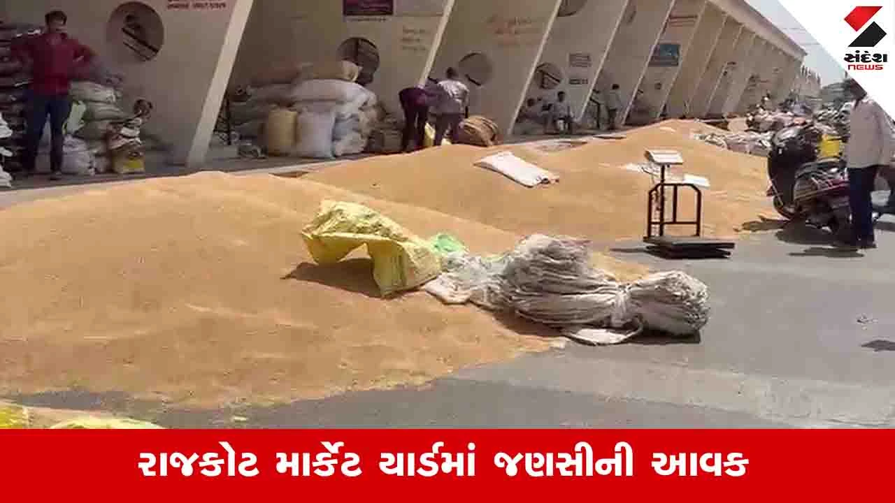માર્ચ એન્ડિંગ પહેલા બેડી યાર્ડમાં ઘઉંની 1.50 લાખ મણની આવક નોંધાઈ.