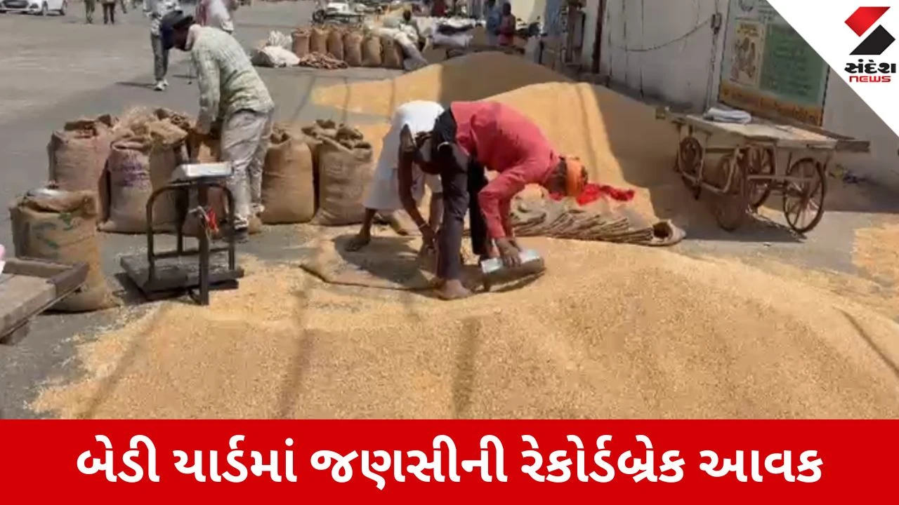 રાજકોટ માર્કેટિંગ યાર્ડમા ધાણા, જીરું, તુવેરની પુષ્કળ આવક.