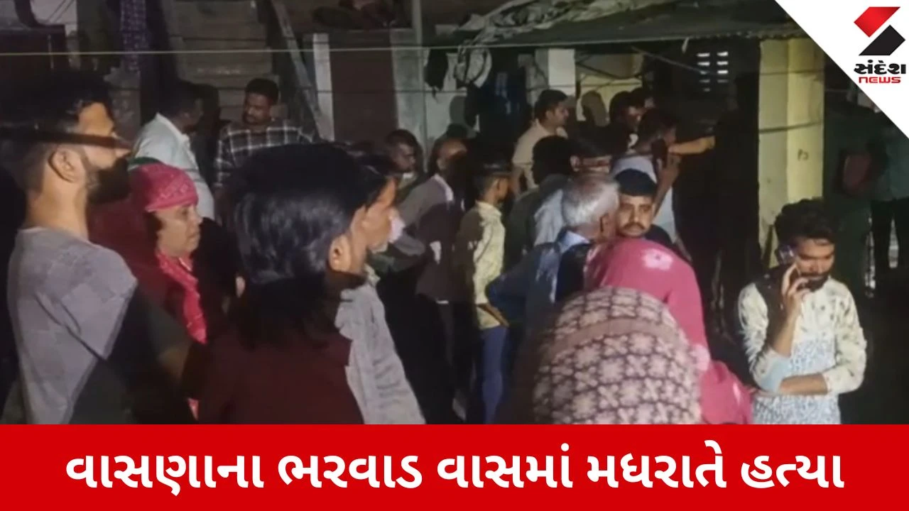 અમદાવાદના વાસણામાં યુવકની છરી મારી હત્યા, વિસ્તારમાં ચકચાર, પોલીસ તપાસ શરૂ.
