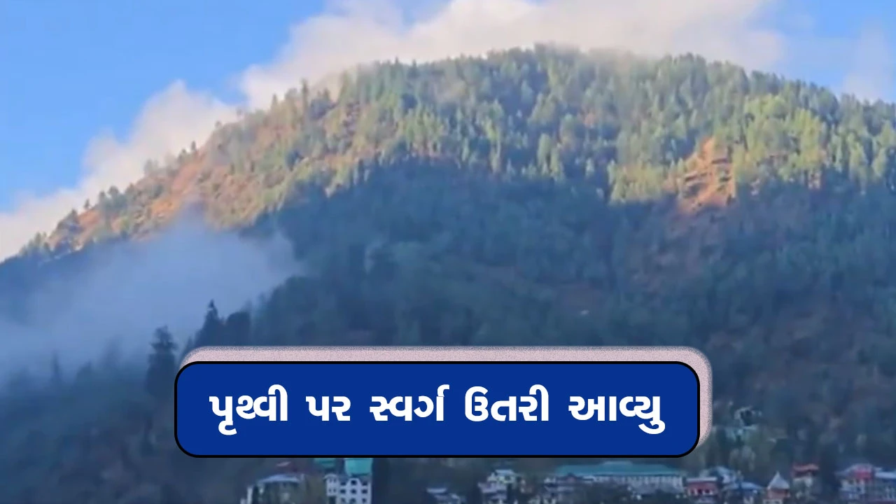 જમ્મુ-કાશ્મીરમાં હિમવર્ષાથી કુદરતી સૌંદર્ય ખીલી ઉઠ્યું.