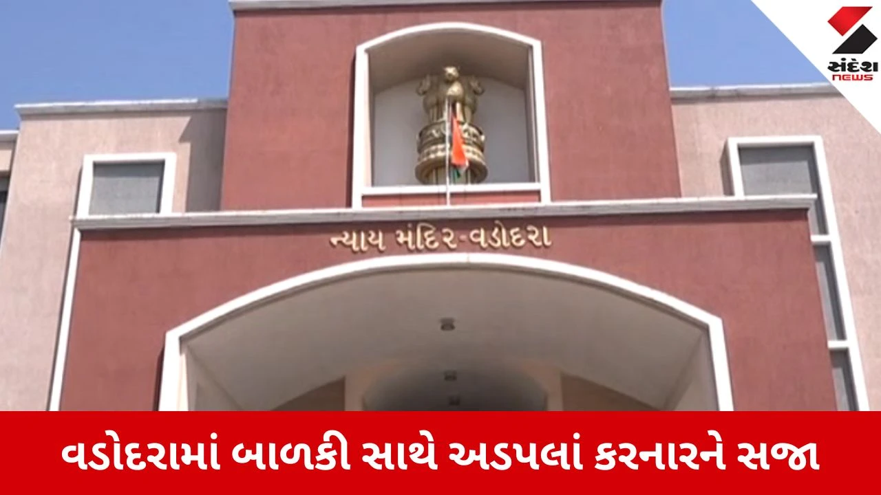 વડોદરામાં 3 વર્ષની બાળકી સાથે અડપલાં કરનાર સ્કૂલ વાન ચાલકને 20 વર્ષની કેદ.