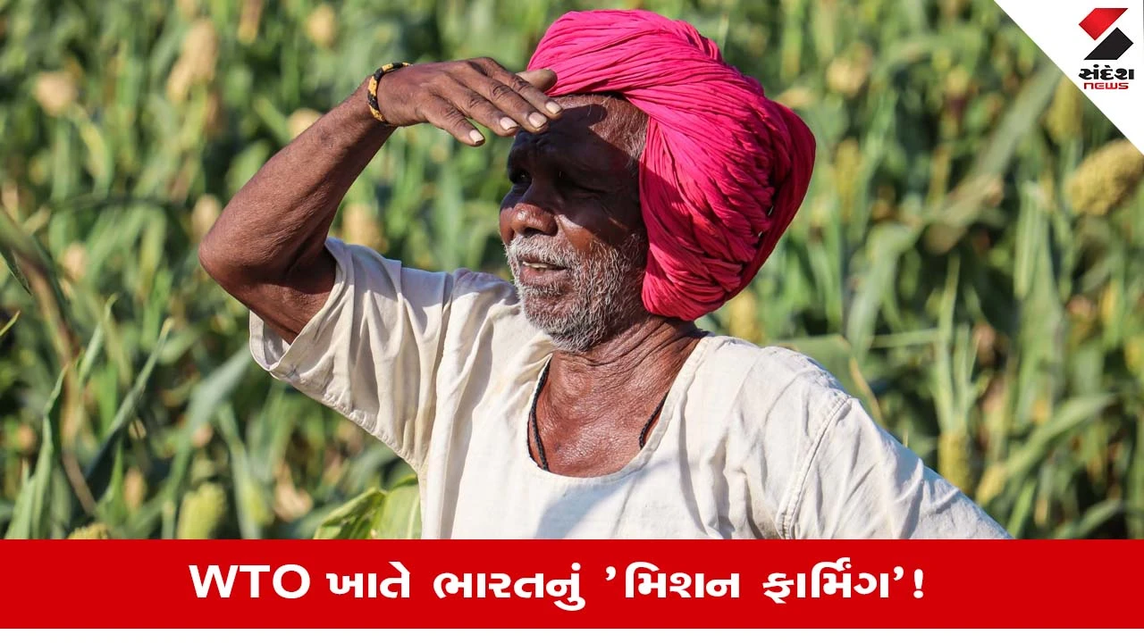 World Trade Organization: નવા વૈશ્વિક વેપાર નિયમો વચ્ચે સરકાર ખેડૂતો માટે ઢાલ બનીને કરશે કાર્ય, જાણો કેવી રીતે? 