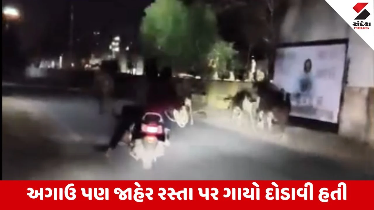 Gandhinagar : વાવોલમાં ગાયોને રસ્તા પર દોડાવી રાહદારીના જીવ જોખમમાં મુક્યા
