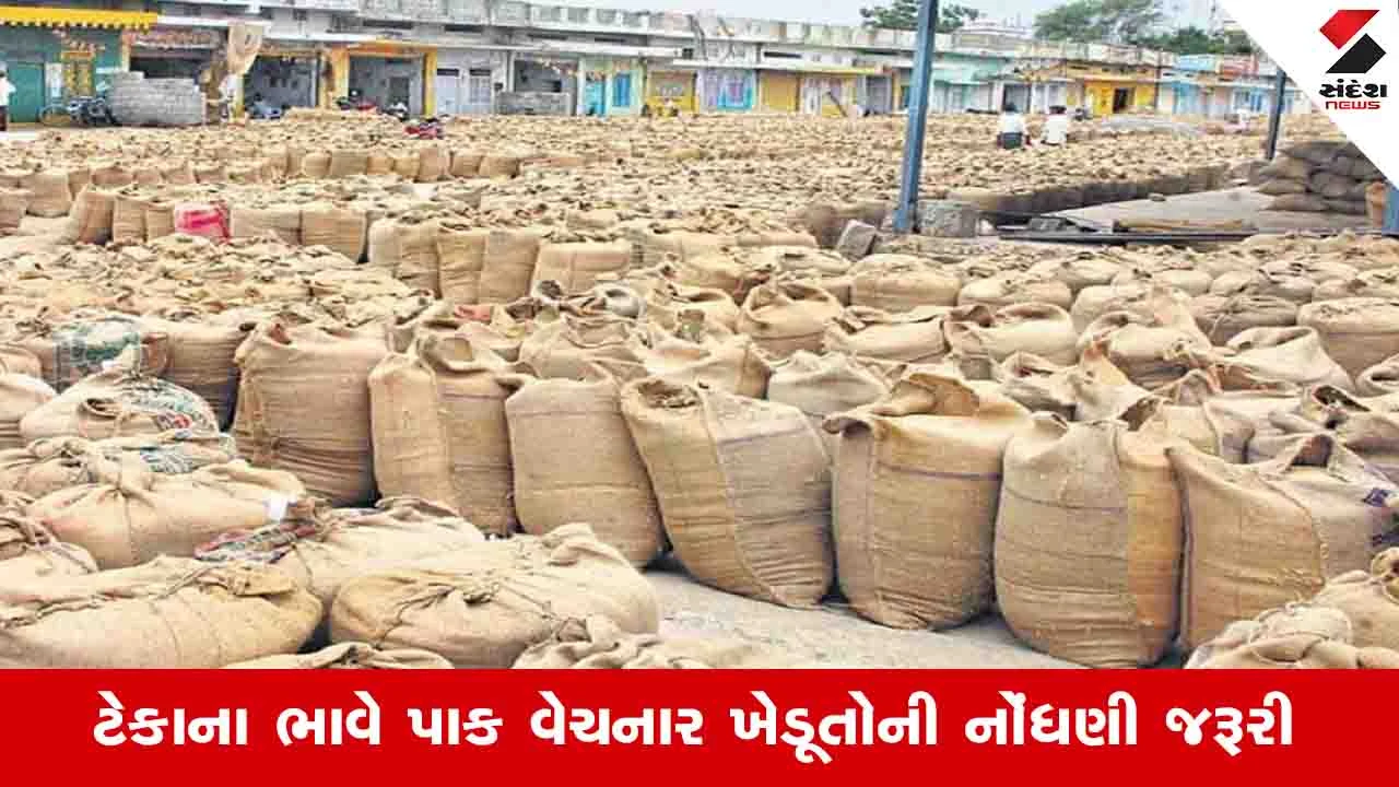 Agriculture News:  રાજ્ય સરકાર બાજરી અને જુવાર સહિત મકાઈની ટેકાના ભાવે ખરીદી કરશે
