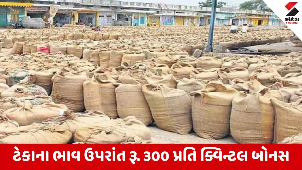 Gandhinagar : ખેડૂતો માટે ખુશખબર, રાજ્ય સરકાર ટેકાના ભાવે બાજરી, જુવાર અને મકાઈની ખરીદી કરશે