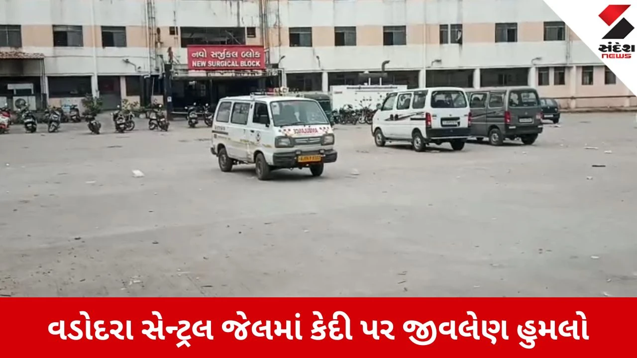 દારૂ ભરેલા એક્ટિવાને અકસ્માત થતા દારૂની રેલમછેલ, 1નું મોત, Hit & Run ની ઘટના.