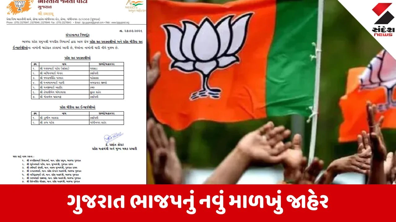 Gandhinagar: ગુજરાત ભાજપનું નવું માળખું જાહેર, વલસાડના સાંસદ અને સુરતના પૂર્વ મેયરને મળી મહત્વની જવાબદારી 