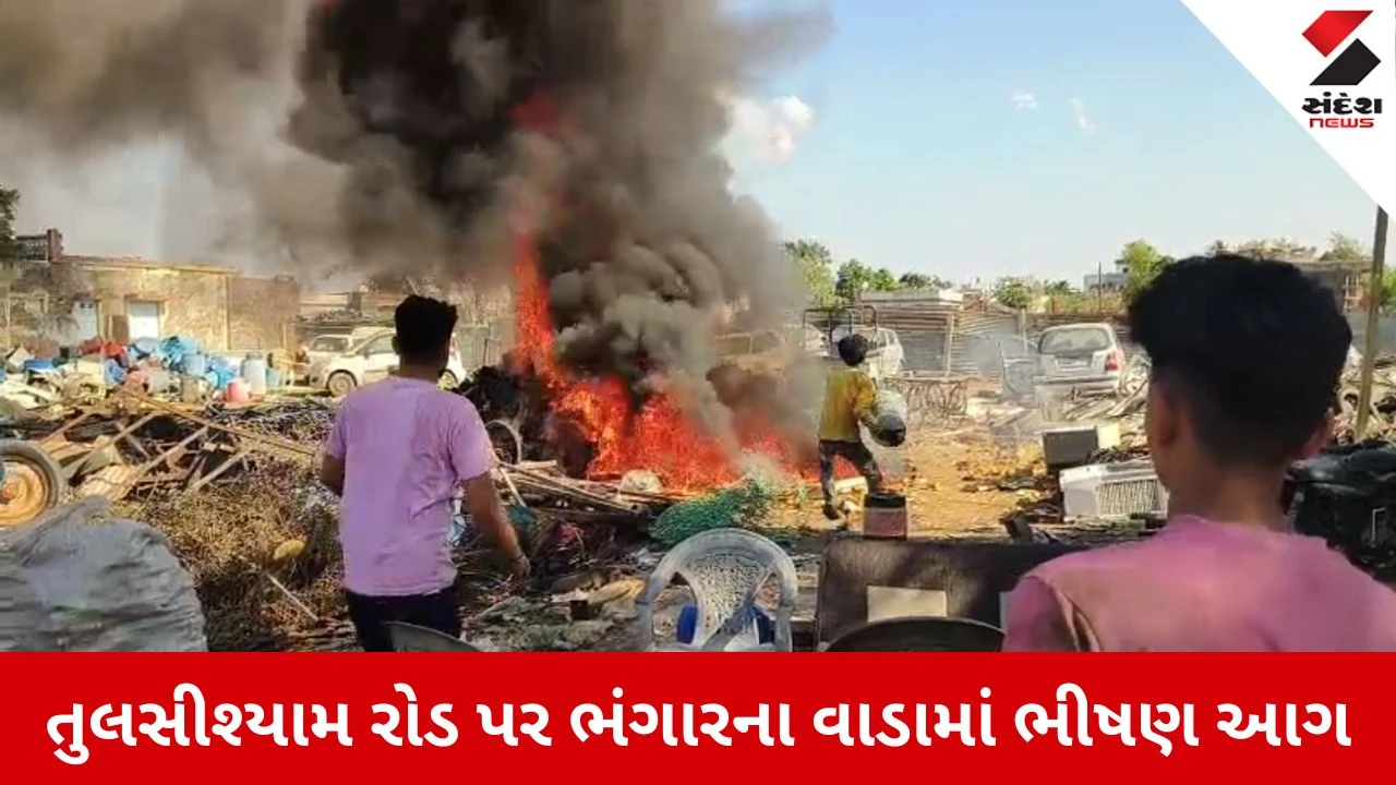 Amreli News: ધારીના તુલસીશ્યામ રોડ પર ભંગારના વાડામાં ભીષણ આગ, ફાયર ફાઈટરના અભાવે અફરાતફરી 