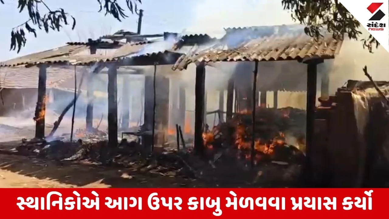 Dang : સુબીરમાં આદિવાસી પરિવારનું આખું ઘર બળીને ખાખ, જીવનભરની કમાણી આગમાં હોમાઈ 