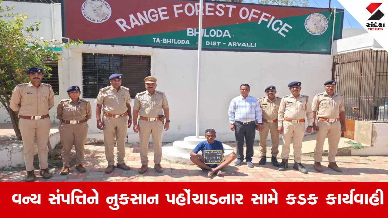 Aravalli News: ભિલોડાના વેજપુર જંગલમાં આગ લગાવનાર શખ્સ ઝડપાયો, વન વિભાગે ફટકાર્યો રૂ.15,000નો દંડ