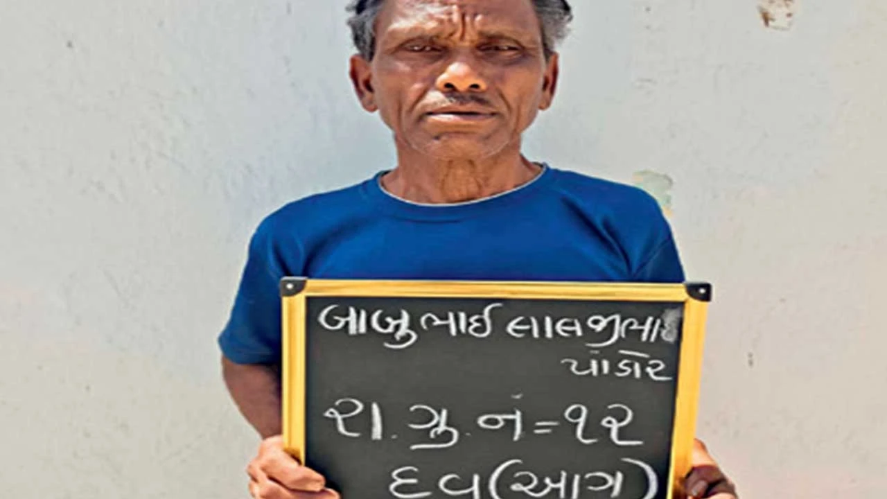 મોડાસા: વેજપુર જંગલમાં આગ લગાડનાર ઈસમ પકડાયો. કલમ 26-1 (ખ) હેઠળ કાર્યવાહી.