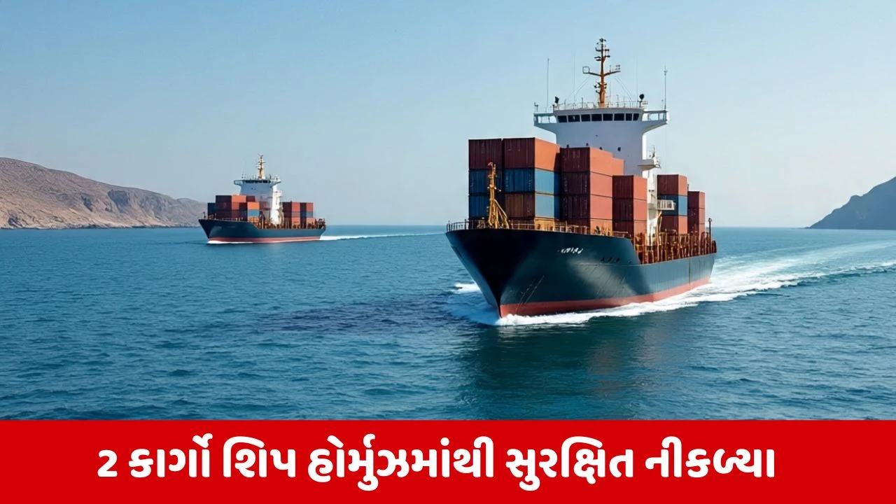 94000 મેટ્રિક ટન LPG લઈને ભારત આવી રહ્યા છે વધુ 2 જહાજ, સરકાર પાસે પેટ્રોલ-ડીઝલનો પર્યાપ્ત સ્ટોક 