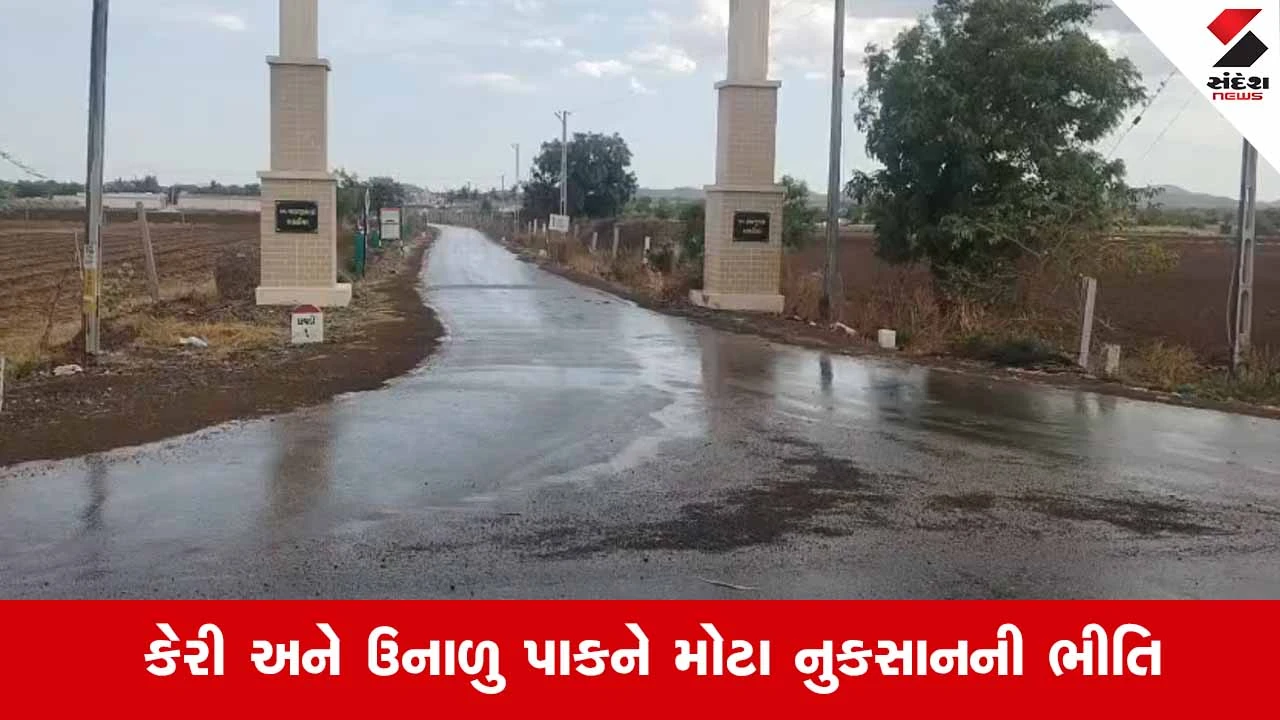 Amreli News: ખાંભા અને ગીર પંથકના ગામડાઓમાં કમોસમી વરસાદનું માવઠું 