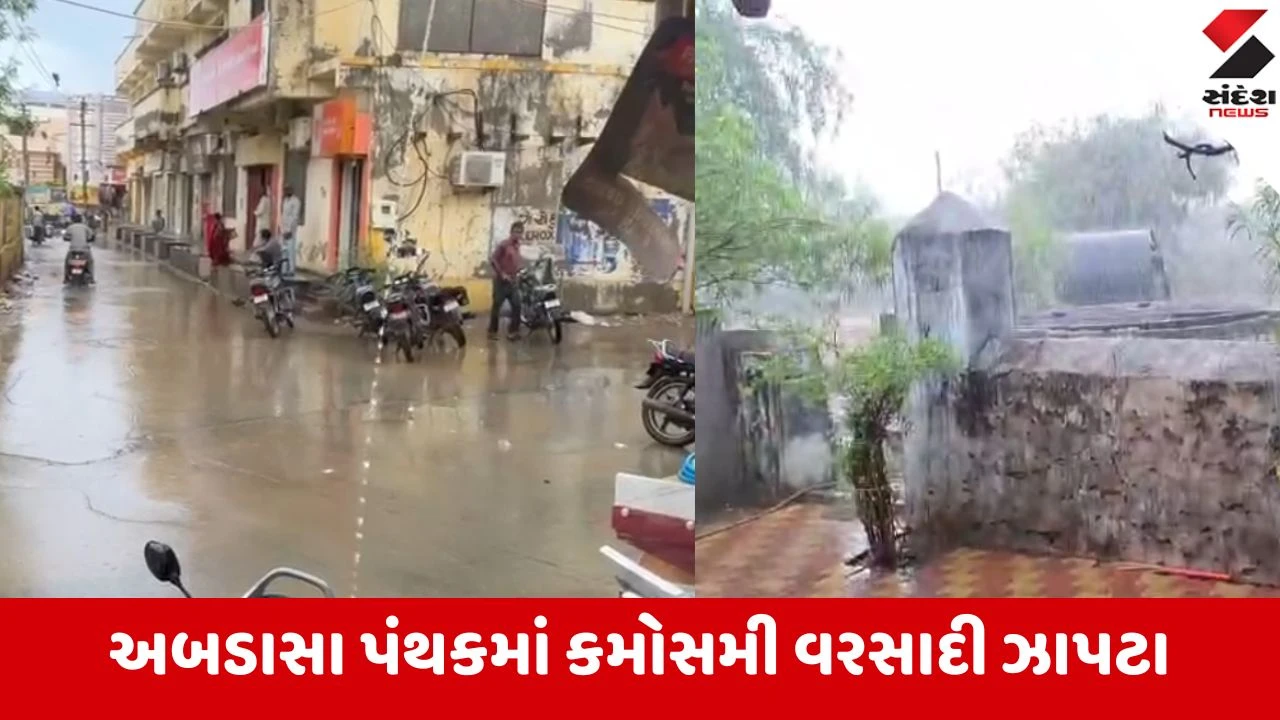 કચ્છના અબડાસાના નલિયામાં કમોસમી વરસાદ, ઠંડા પવનથી ખેડૂતો ચિંતામાં.