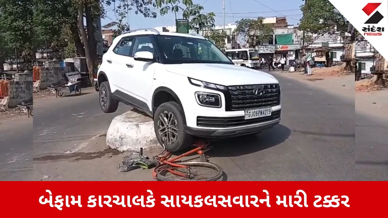 Vadodara News: દિવાળીપુરામાં બેફામ કારે સાયકલસવારને ઉડાવ્યો, કાર ડિવાઈડર પર ચડાવી ચાલક ફરાર થઈ ગયો.
