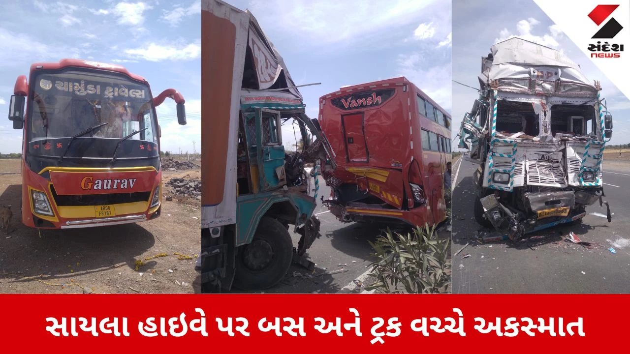 Surendranagar News: સાયલા હાઈવે પર અકસ્માત, બંધ પડેલી ખાનગી બસ પાછળ કન્ટેનર ટ્રક ઘૂસી, 7થી વધુ ઘાયલ 