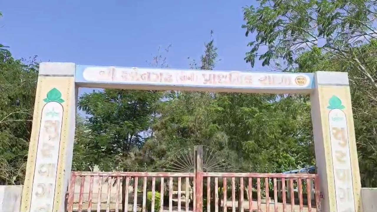 Diyodar: સોનગઢ પ્રાથમિક શાળામાં વિદ્યાર્થીને ઢોર માર મારવાનો મામલો :શિક્ષણ વિભાગની ચુપકીદી 