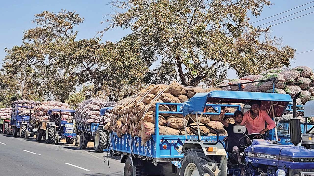 Dehgam: દહેગામ તાલુકાના 47 કોલ્ડ સ્ટોરેજમાં બટાટાના 90 લાખ કટ્ટાની આવક 