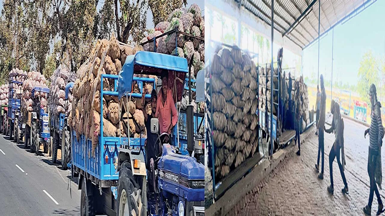 દહેગામ તાલુકાના 47 કોલ્ડસ્ટોરેજ બટાટાથી હાઉસફૂલ!