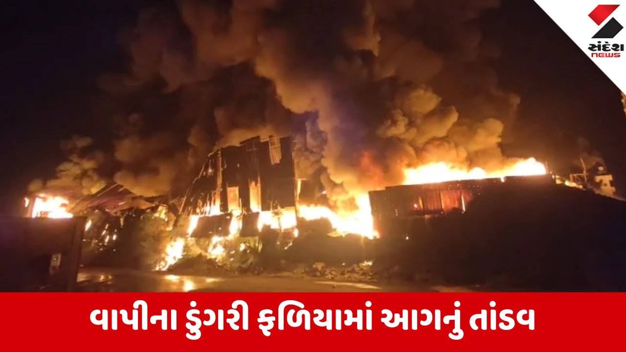 Vapi: ડુંગરી ફળિયામાં ભંગારના ગોડાઉનોમાં આગ, 30+ ગોડાઉનો ઝપેટમાં; ફાયર વિભાગે આગ પર કાબૂ મેળવ્યો.