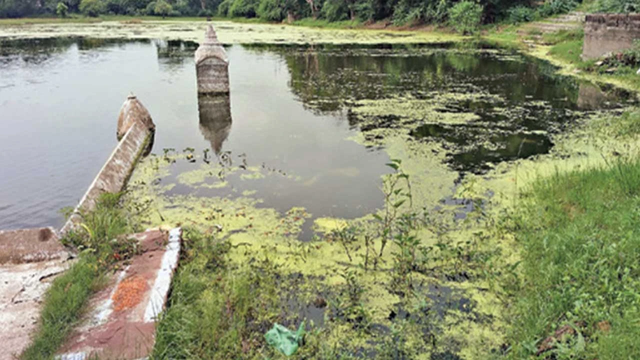 માંડલમાં ગટરના પાણીથી વાવેશ્વર મહાદેવ જળાશય અને પવિત્ર કુંડને નુકસાન.