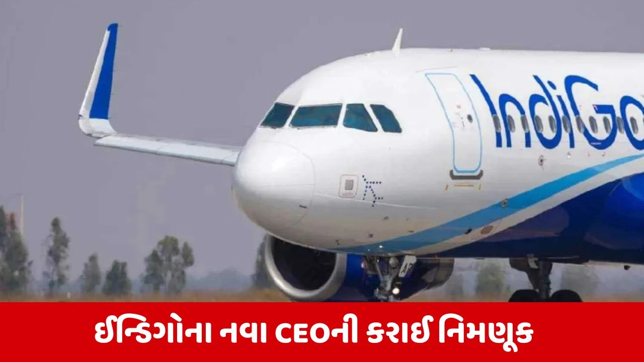 Indigoના નવા CEO વિલિયમ વોલ્શ બન્યા, કંપની બોર્ડ દ્વારા નિમણૂકની જાહેરાત કરવામાં આવી.