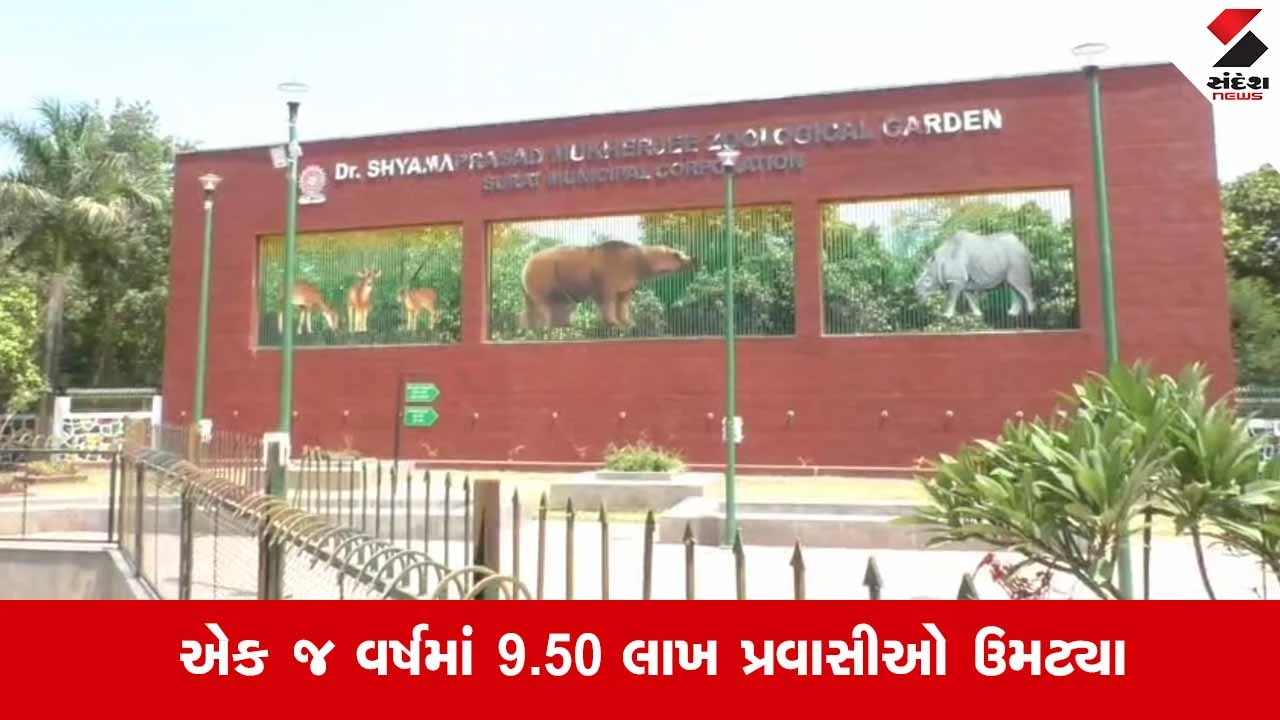 Suratનું સરથાણા નેચર પાર્ક બન્યું 'મની સ્પિનર': SMCની તિજોરીમાં રૂ.2.57 કરોડની જંગી આવક