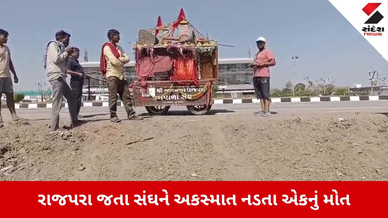 Bhavnagar News: ભાવનગર-અમદાવાદ હાઇવે પર હિટ એન્ડ રનની ઘટના, રાજપરા જતા સંઘને અકસ્માત નડતા એકનું મોત